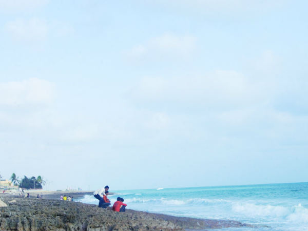 Explore the 5 Astonishing beaches in Gujarat Explore the 5 Astonishing beaches in Gujarat