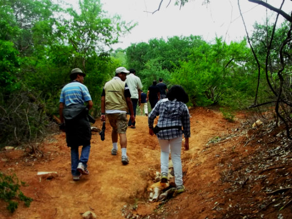 ट्रैकिंग पर रखें इन बातों का ख्याल