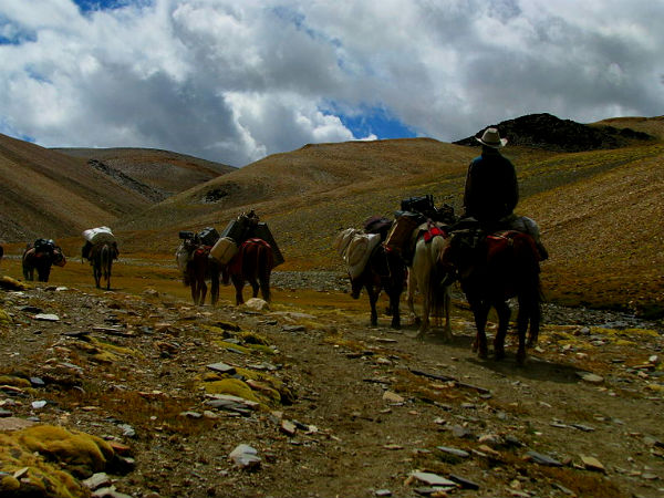 ट्रैकिंग पर रखें इन बातों का ख्याल