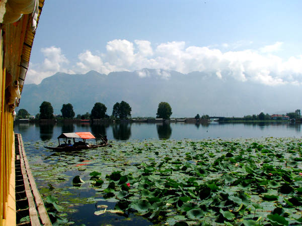 फ़िल्मी अनुभव