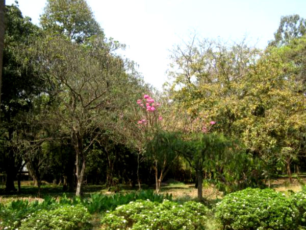 कुली - कब्बन पार्क , बैंगलोर