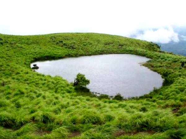 वायनाड