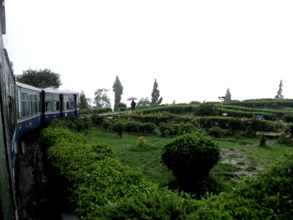 दार्जिलिंग