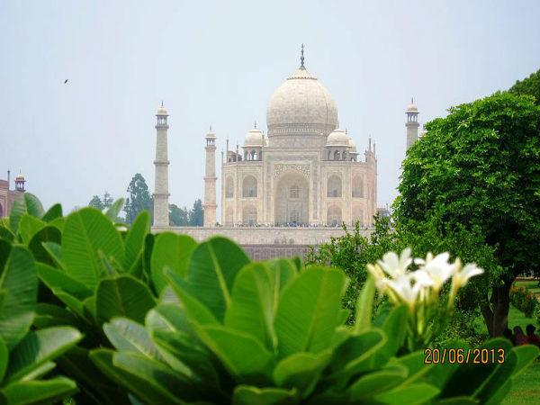 गार्डन से ली गयी तस्वीर