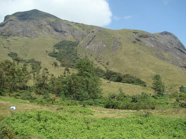 राजमाला