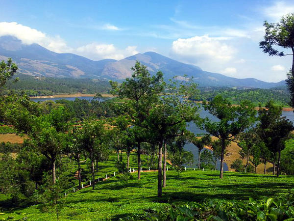 अनायिरंकल