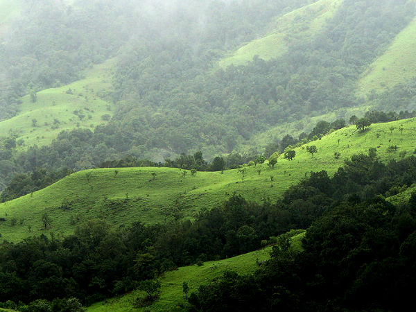 कुद्रेमुख के ट्रैकिंग रूट