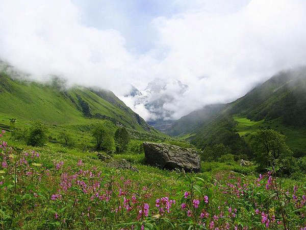 नंदा देवी और वैली ऑफ फ्लावर