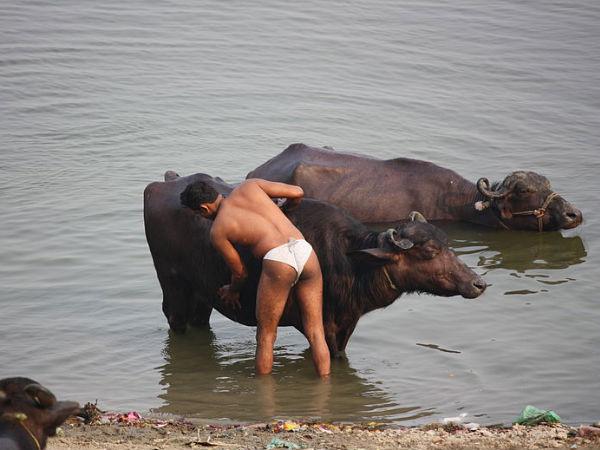 क्यों ख़ास है वाराणसी
