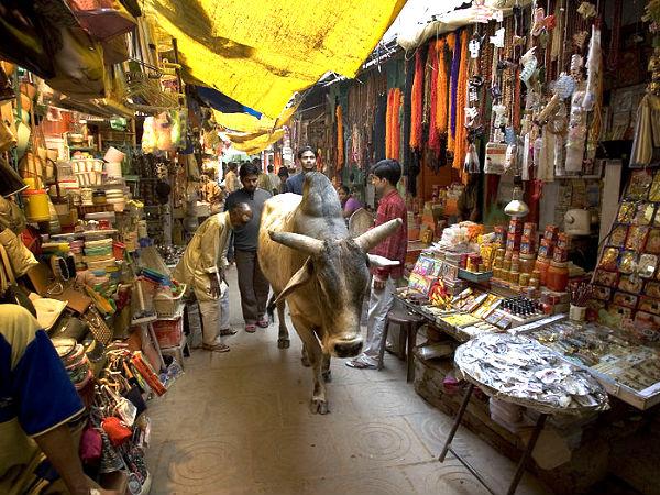 क्यों ख़ास है वाराणसी