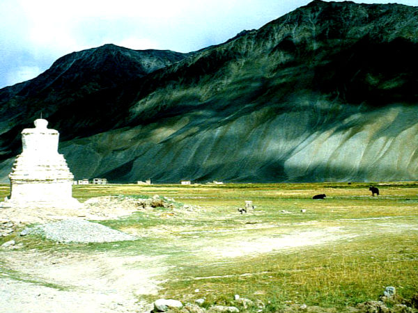 क्या करें कारगिल में