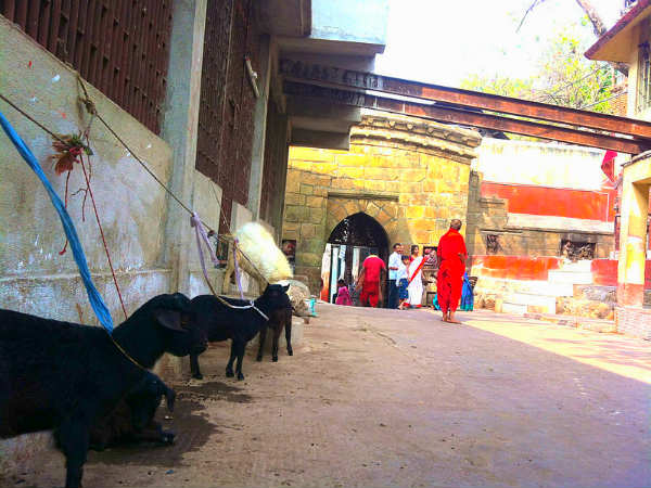 कामाख्या देवी का रहस्यमय मंदिर