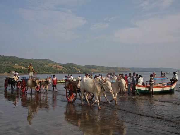 हरनाई बंदरगाह