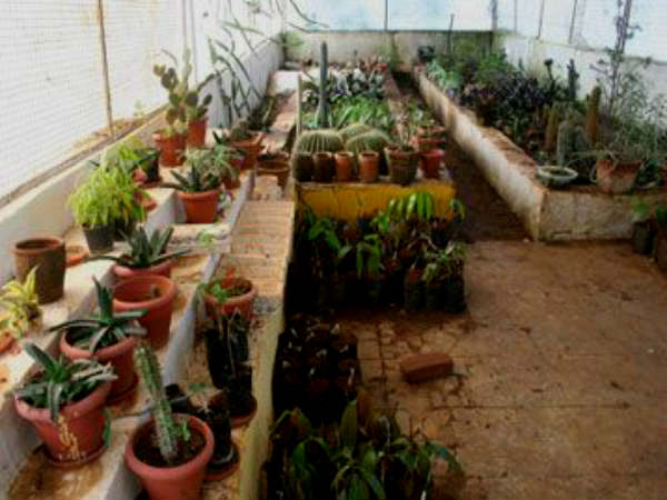 गुलाब उद्यान, लेकव्यू और स्टेप गार्डन