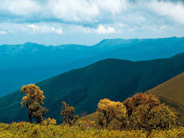 चिकमंगलूर, कर्नाटक