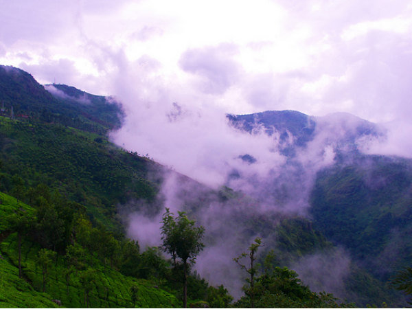 कुन्नूर, तमिलनाडु
