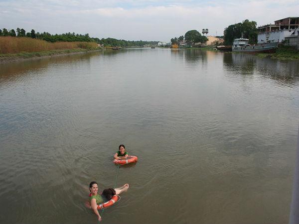 बेहतरीन तस्वीरें में सुंदरबन