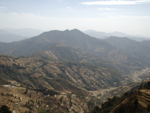 धनौल्टी