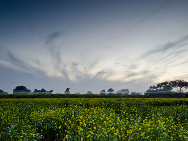 पंजाब