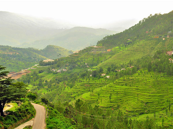 अल्मोड़ा