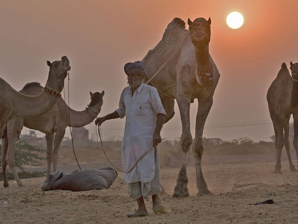 राजस्थान
