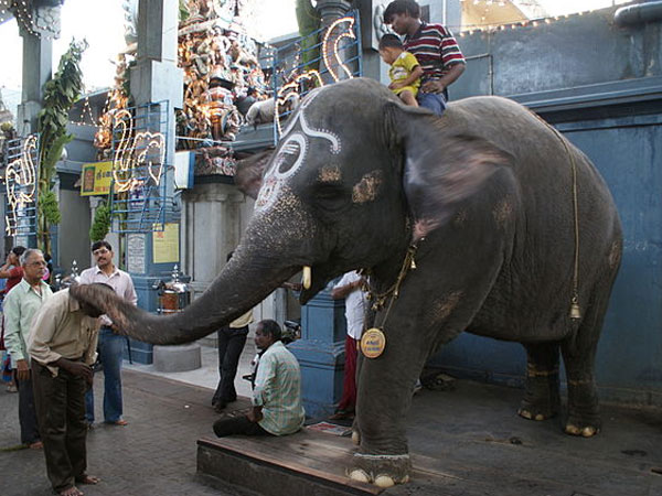 मनाकुला विनयागर मंदिर