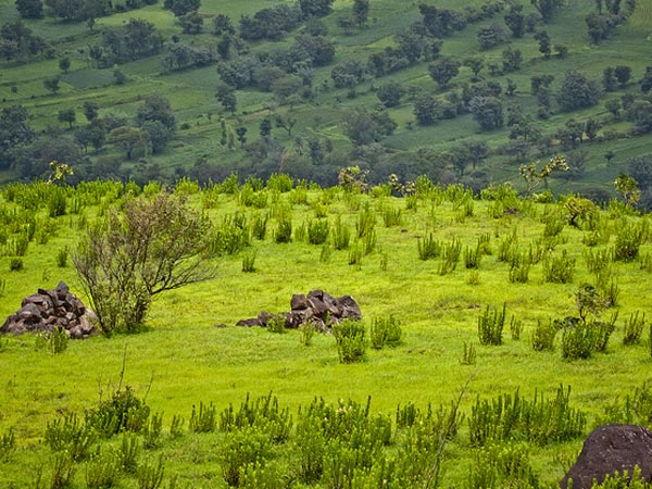 महाबलेश्वर