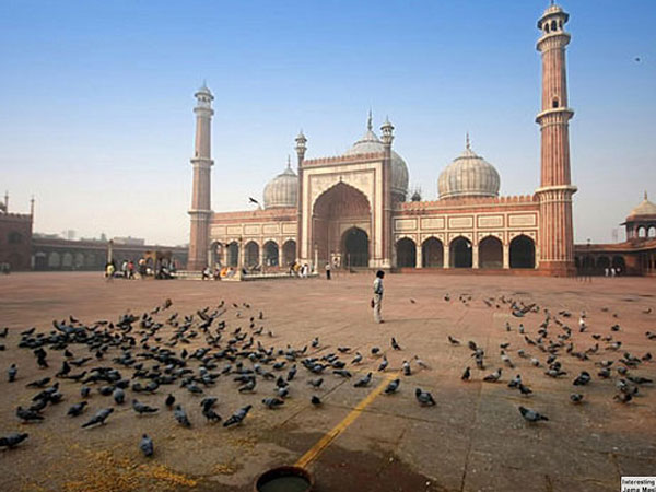 पक्षियों का झुंड