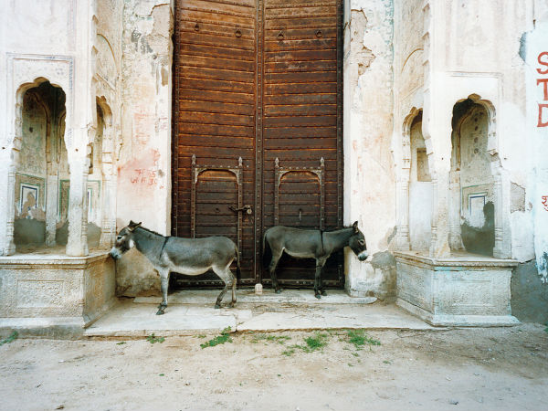 एक दुर्लभ तस्वीर
