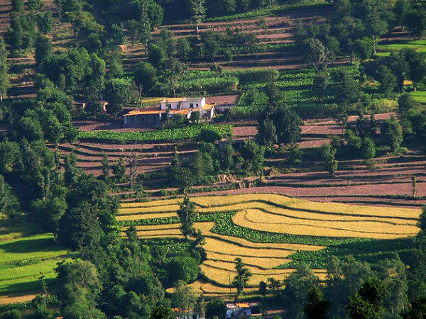 कसौली