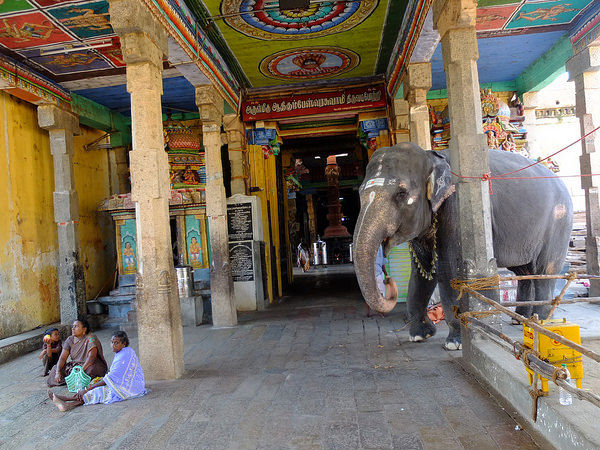 कम्पाहरेश्वरर मंदिर