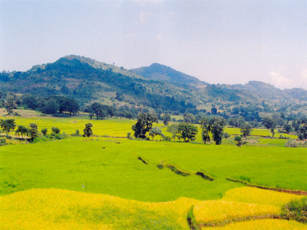 अरकु घाटी
