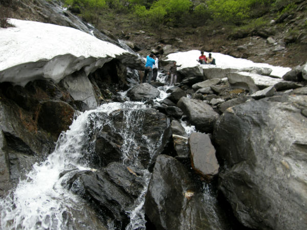 राहला फाल