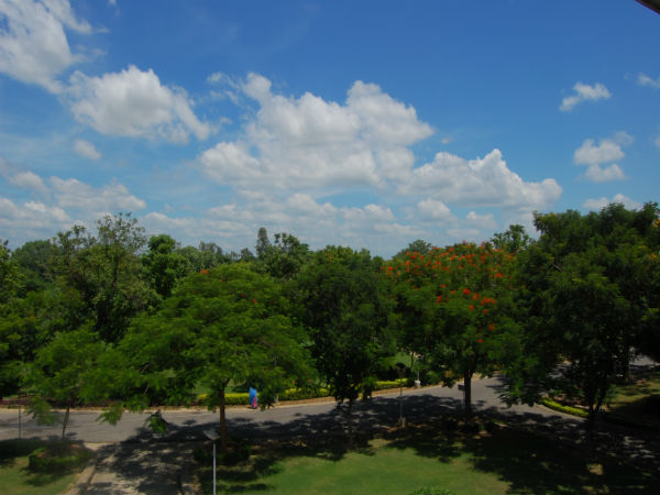 नेहरू गार्डन