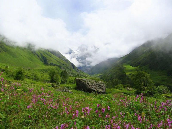 फूलों की घाटी राष्ट्रीय उद्यान