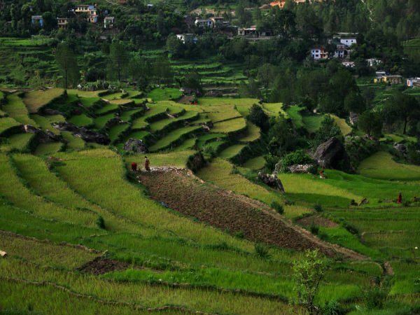 अल्मोड़ा कैसे जाएँ