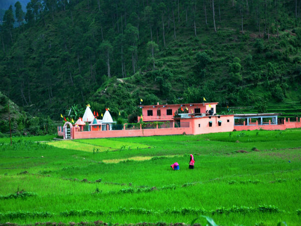 ध्वज