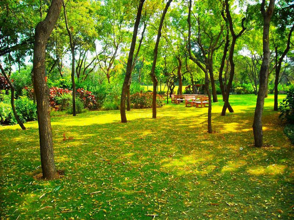 सौंदर्य और संस्कृति का राज्य गुजरात सौंदर्य और संस्कृति का राज्य गुजरात