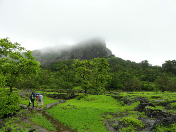 रामबाग