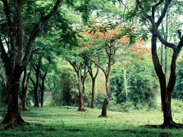 कूर्ग