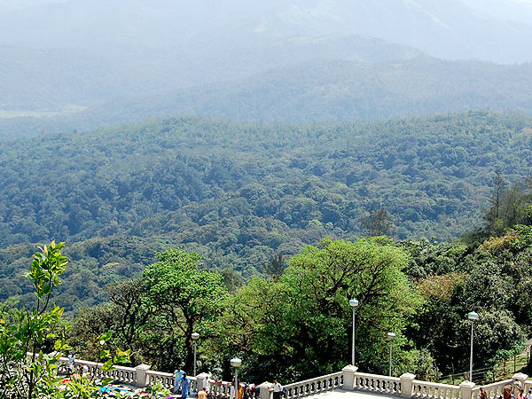coorg coorg