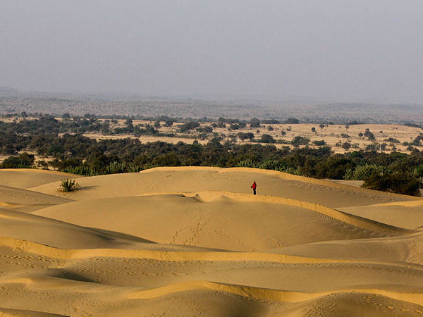थार डेज़र्ट
