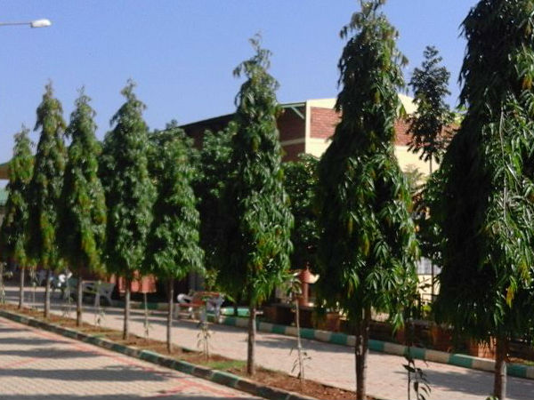 सबसे पहला प्लान्ड सिटी