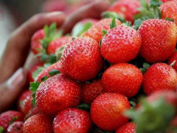 Strawberries Strawberries