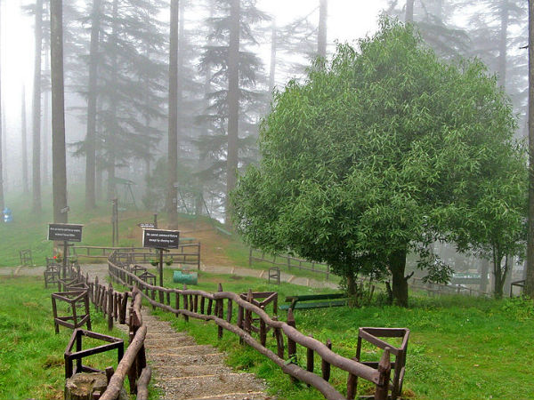 Dhanaulti Dhanaulti