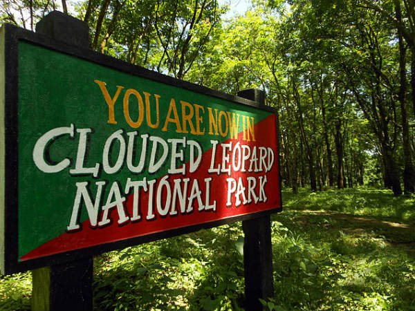 Clouded Leopard National Park Clouded Leopard National Park
