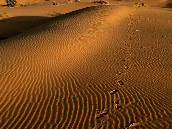 Sam Sand Dunes Sam Sand Dunes
