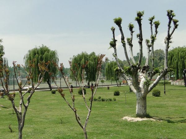 Manasbal lake Manasbal lake