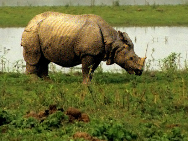 ओरंग, असम
