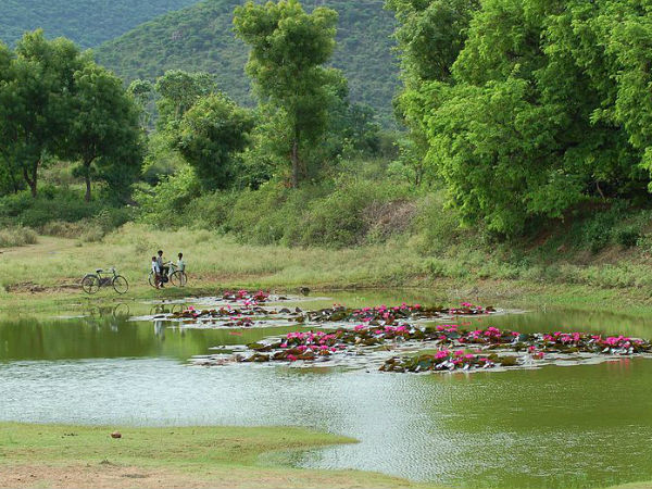नीलगिरी बायोस्फियर रिज़र्व
